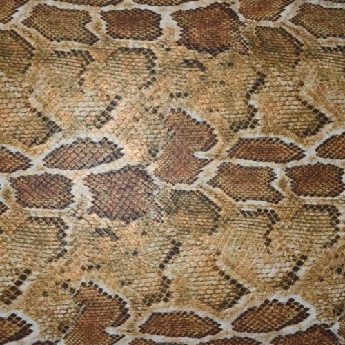 Variation Image