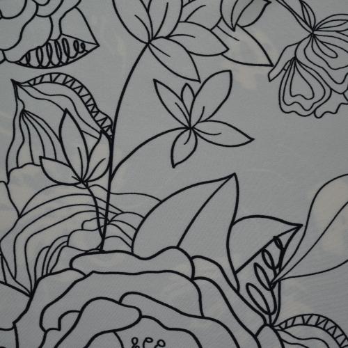 Variation Image